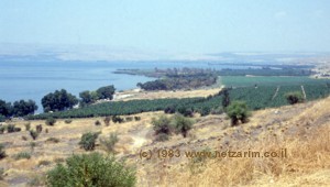 Beit Tzayada, NE Yam Kinneret